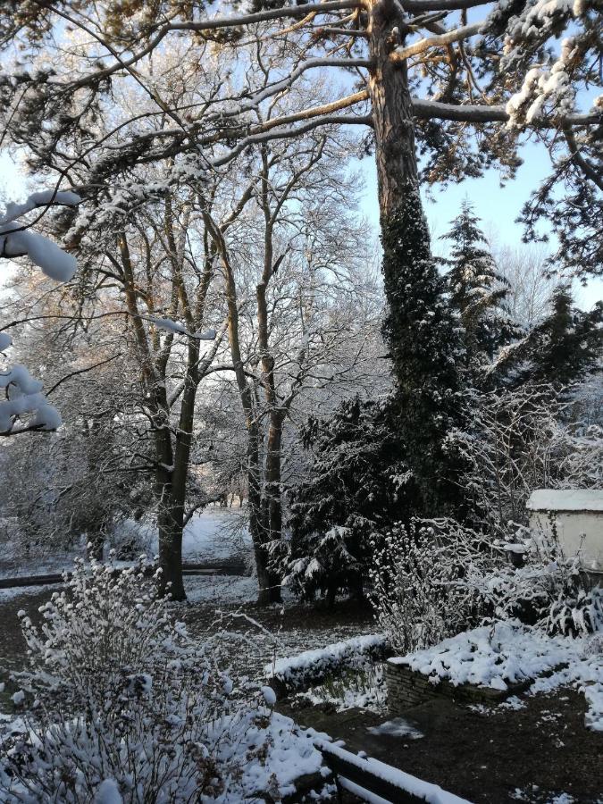 Saint-Jean-le-Blanc Zenbreak Sous Les Toits B&B 외부 사진